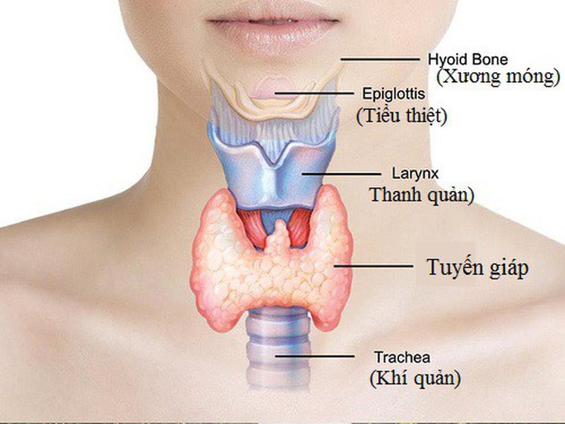 bệnh suy giáp là gì