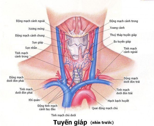 Kiểm tra chức năng tuyến giáp