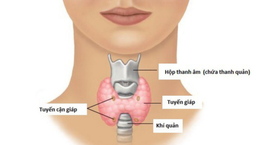 Tuyến cận giáp 