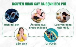 Nguyên nhân béo phì ở trẻ em