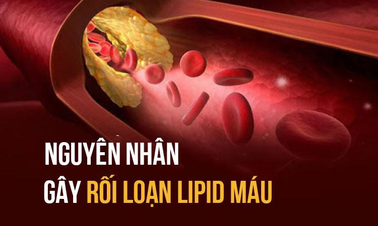 Nguyên nhân gây rối loạn lipid máu