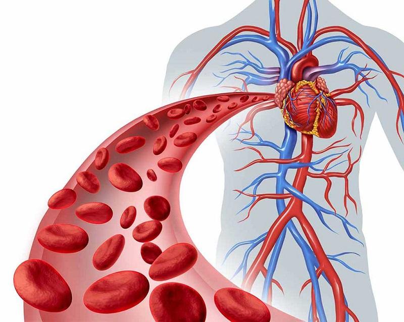 rối loạn chuyển hóa lipoprotein